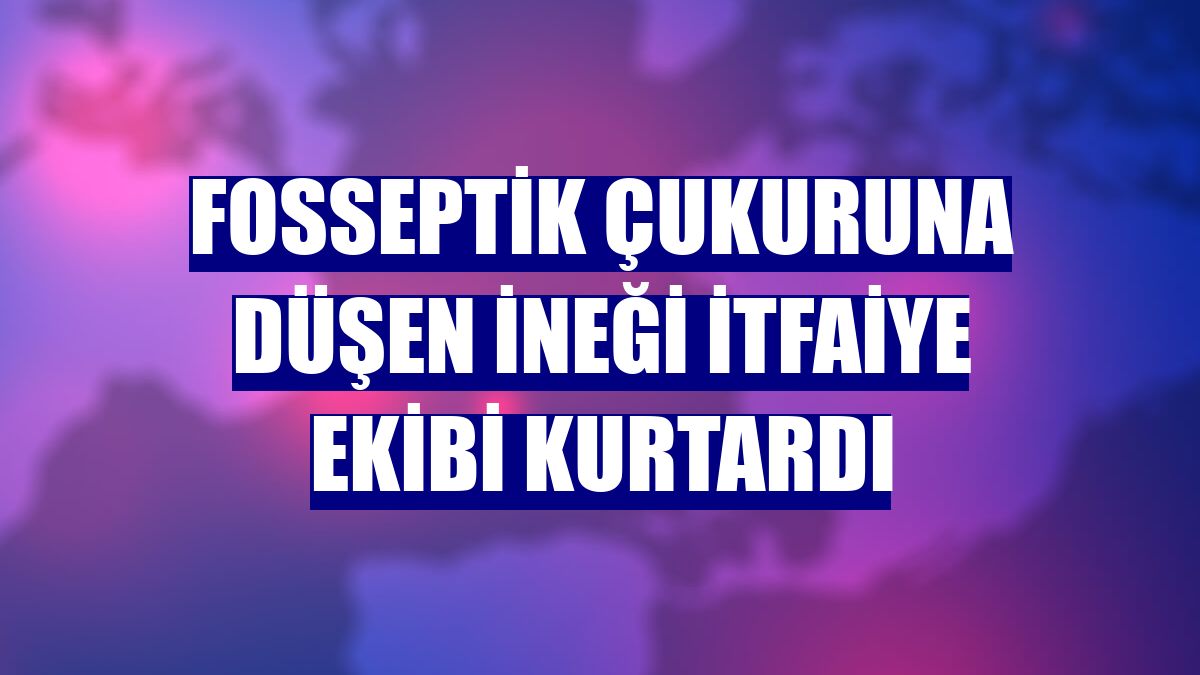 Fosseptik çukuruna düşen ineği itfaiye ekibi kurtardı