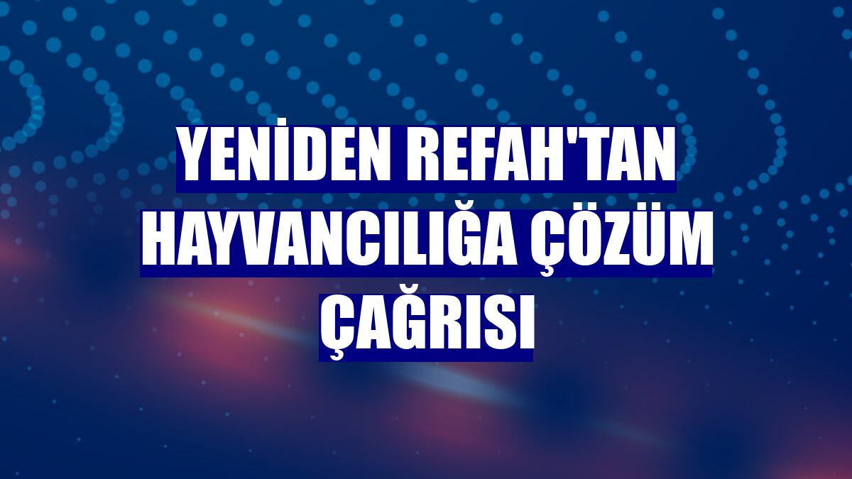 Yeniden Refah'tan hayvancılığa çözüm çağrısı