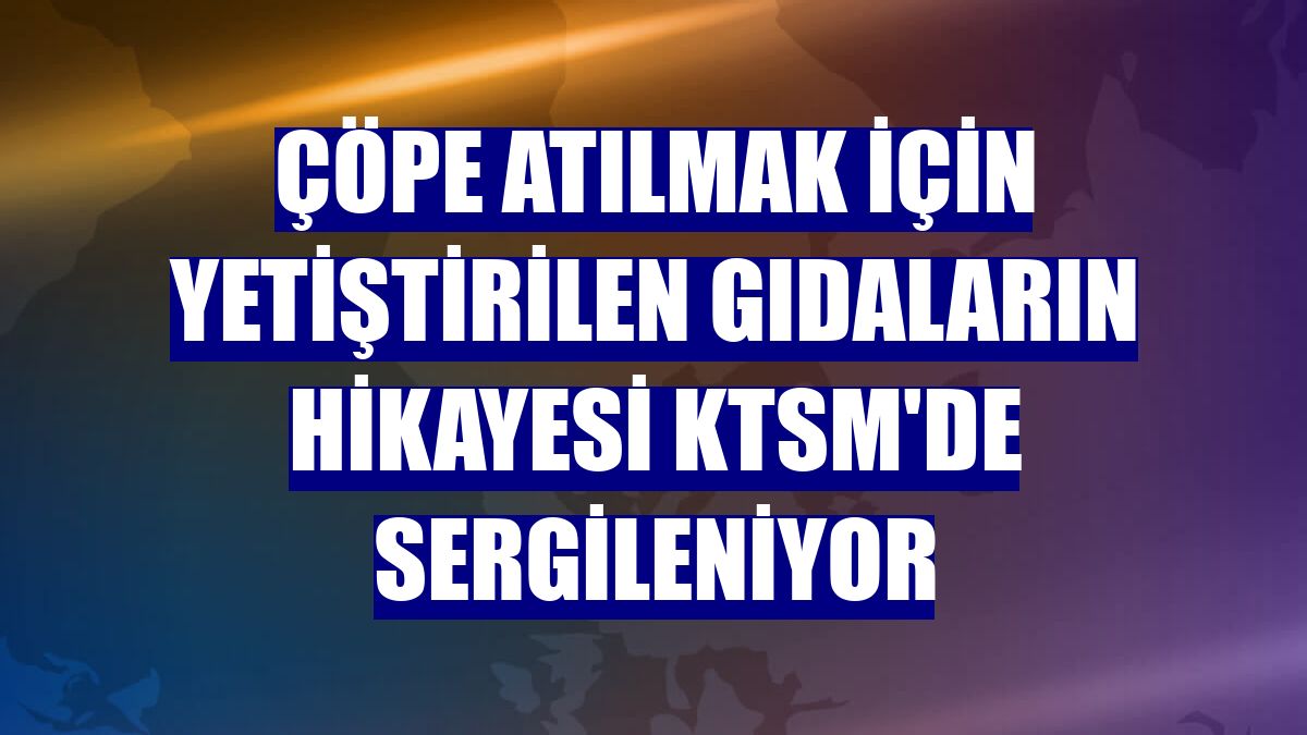 Çöpe atılmak için yetiştirilen gıdaların hikayesi KTSM'de sergileniyor