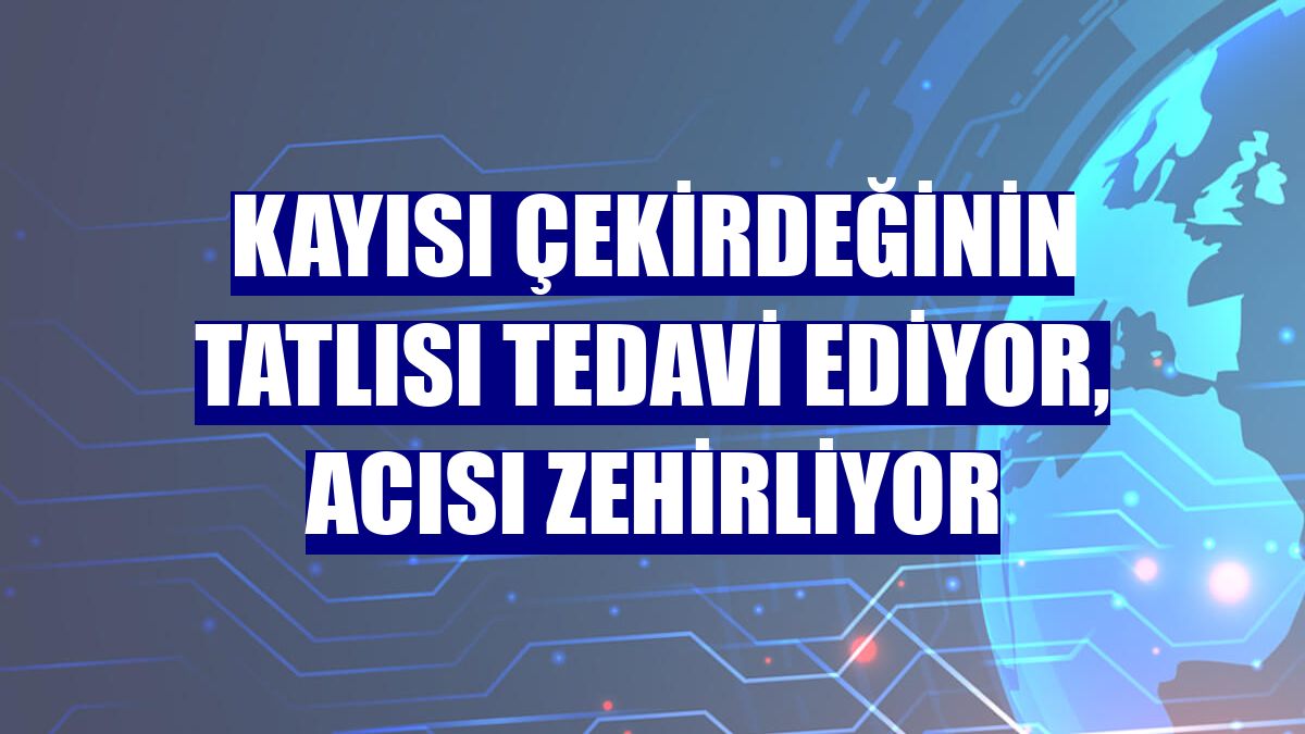 Kayısı çekirdeğinin tatlısı tedavi ediyor, acısı zehirliyor