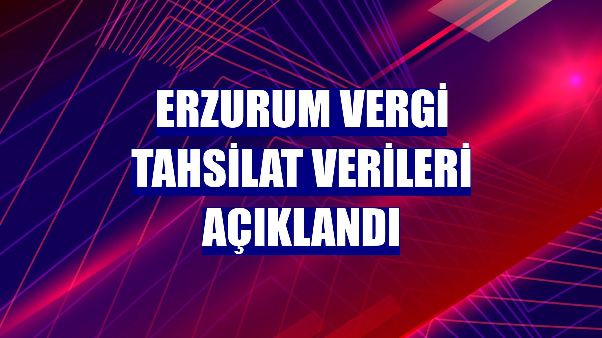 Erzurum vergi tahsilat verileri açıklandı
