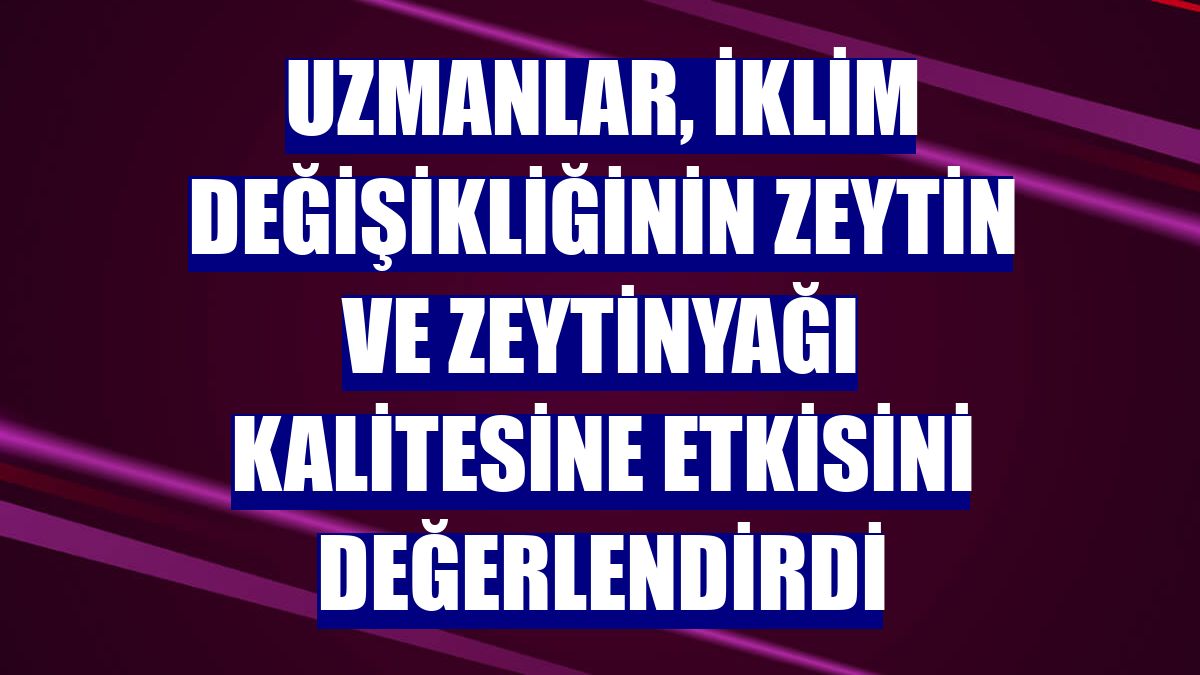 Uzmanlar, iklim değişikliğinin zeytin ve zeytinyağı kalitesine etkisini değerlendirdi