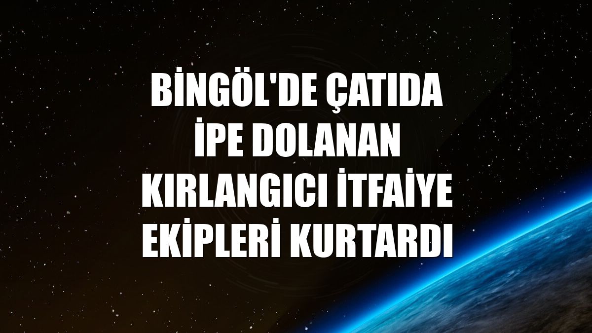 Bingöl'de çatıda ipe dolanan kırlangıcı itfaiye ekipleri kurtardı
