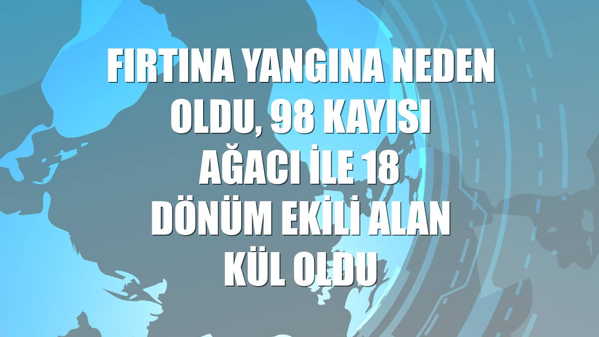Fırtına yangına neden oldu, 98 kayısı ağacı ile 18 dönüm ekili alan kül oldu