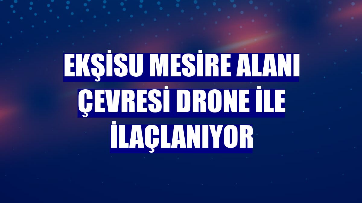 Ekşisu Mesire Alanı çevresi drone ile ilaçlanıyor
