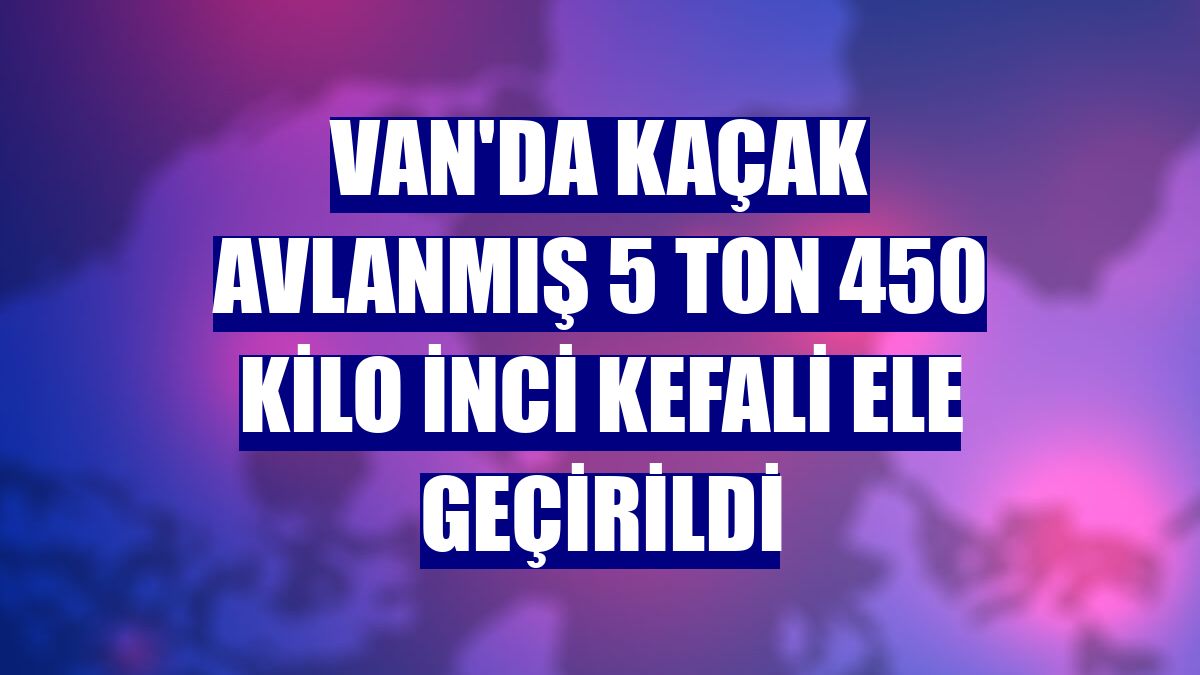Van'da kaçak avlanmış 5 ton 450 kilo inci kefali ele geçirildi