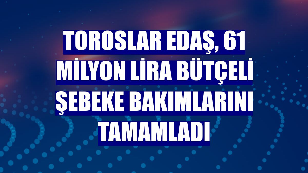 Toroslar EDAŞ, 61 milyon lira bütçeli şebeke bakımlarını tamamladı
