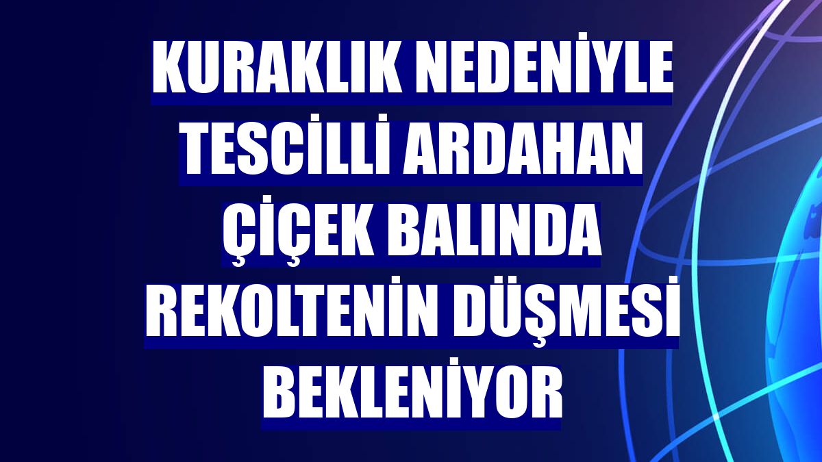 Kuraklık nedeniyle tescilli Ardahan çiçek balında rekoltenin düşmesi bekleniyor