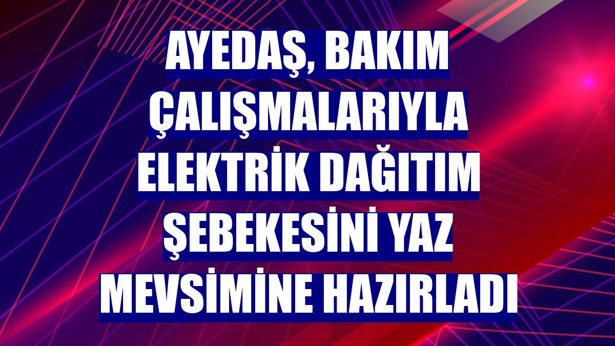 AYEDAŞ, bakım çalışmalarıyla elektrik dağıtım şebekesini yaz mevsimine hazırladı