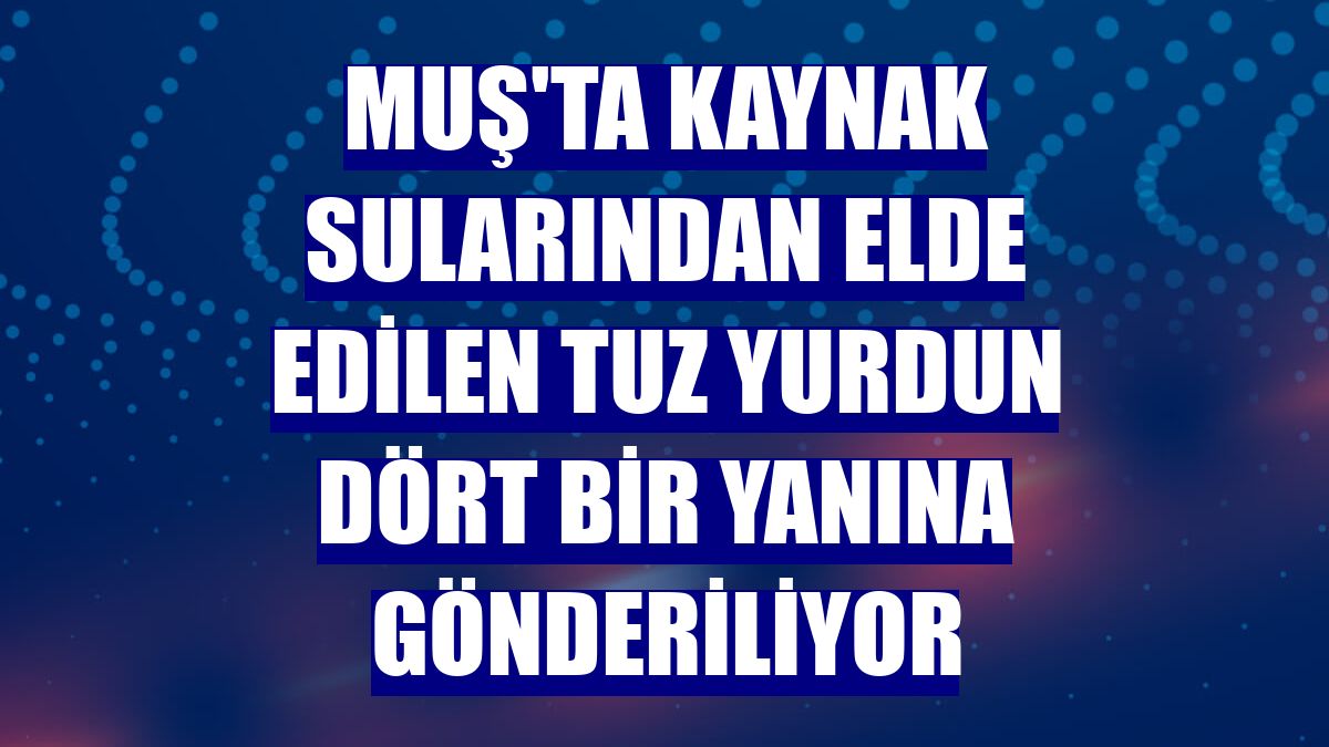 Muş'ta kaynak sularından elde edilen tuz yurdun dört bir yanına gönderiliyor
