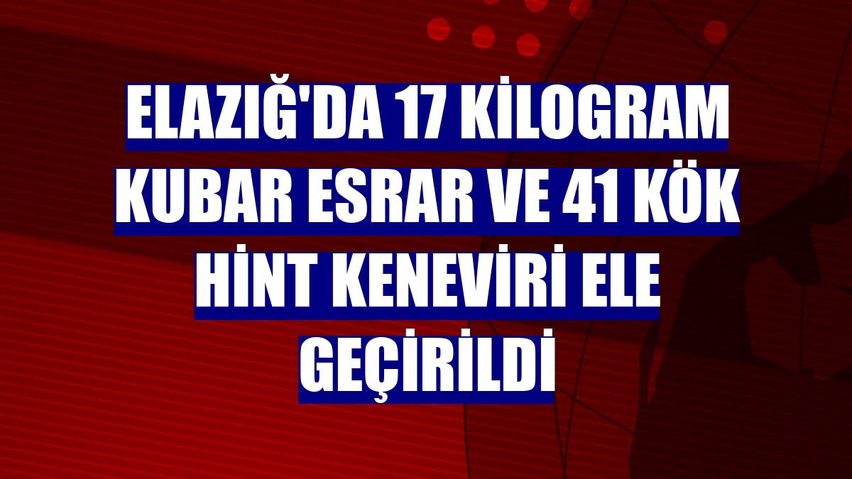 Elazığ'da 17 kilogram kubar esrar ve 41 kök Hint keneviri ele geçirildi
