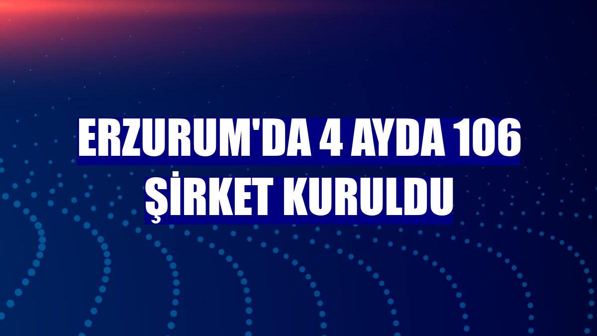 Erzurum'da 4 ayda 106 şirket kuruldu