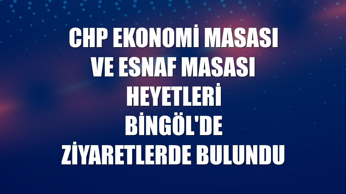 CHP Ekonomi Masası ve Esnaf Masası heyetleri Bingöl'de ziyaretlerde bulundu