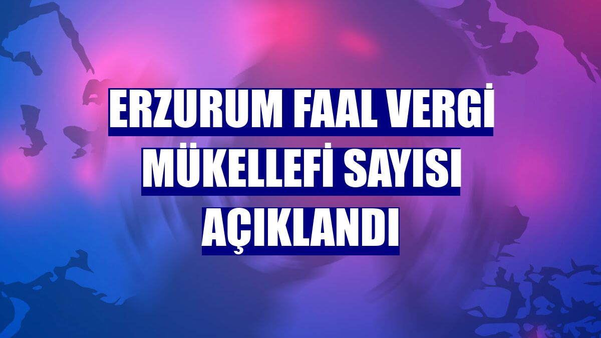 Erzurum Faal Vergi Mükellefi sayısı açıklandı