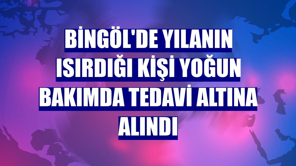 Bingöl'de yılanın ısırdığı kişi yoğun bakımda tedavi altına alındı