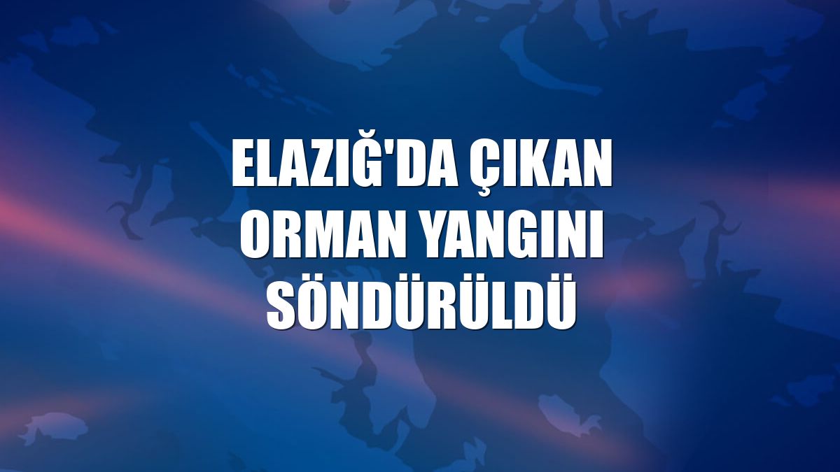 Elazığ'da çıkan orman yangını söndürüldü