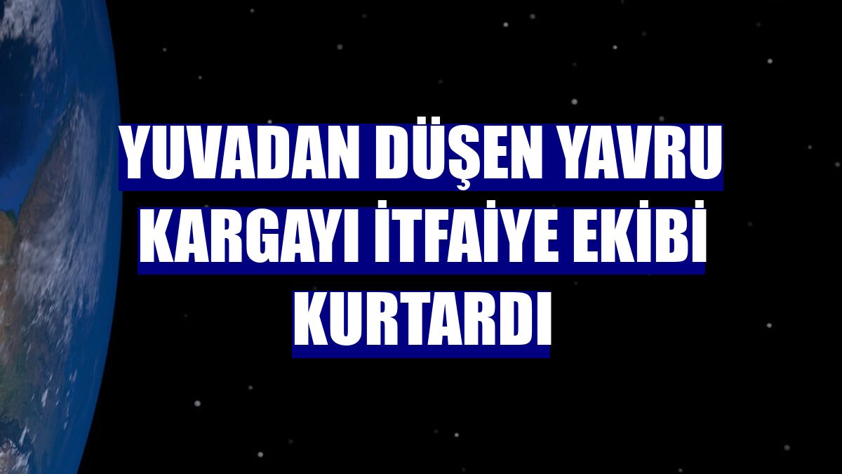 Yuvadan düşen yavru kargayı itfaiye ekibi kurtardı