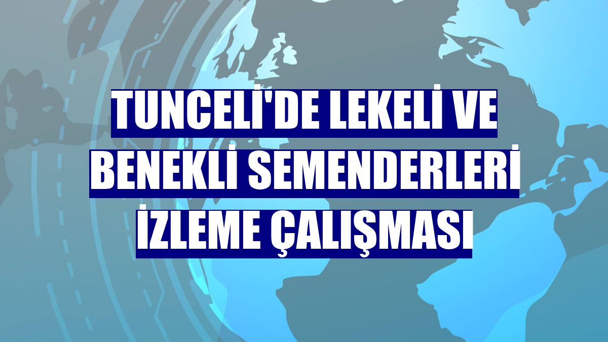 Tunceli'de lekeli ve benekli semenderleri izleme çalışması