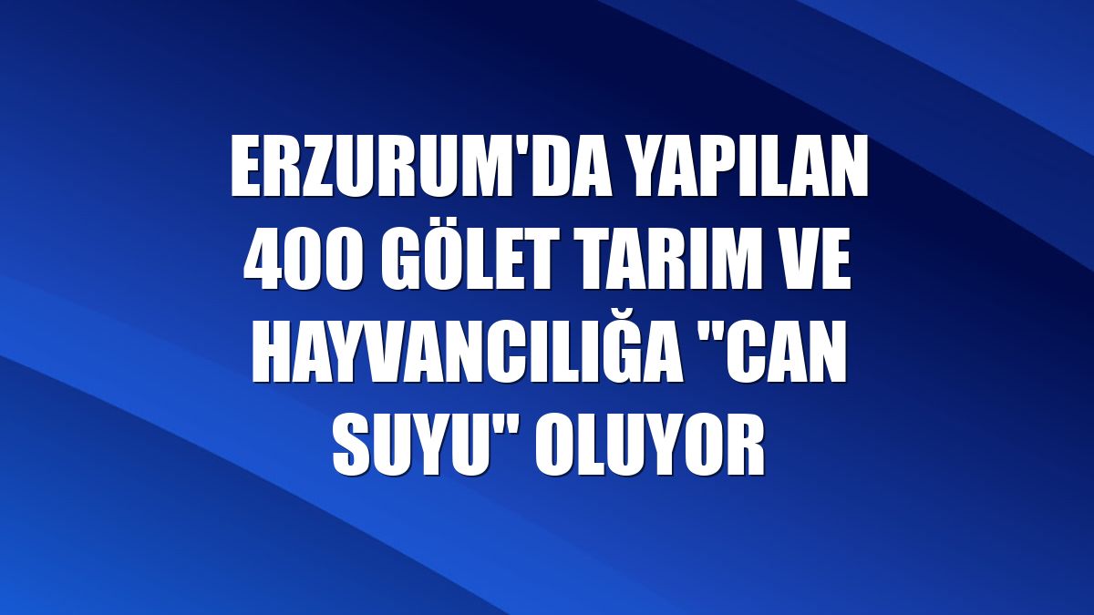 Erzurum'da yapılan 400 gölet tarım ve hayvancılığa "can suyu" oluyor