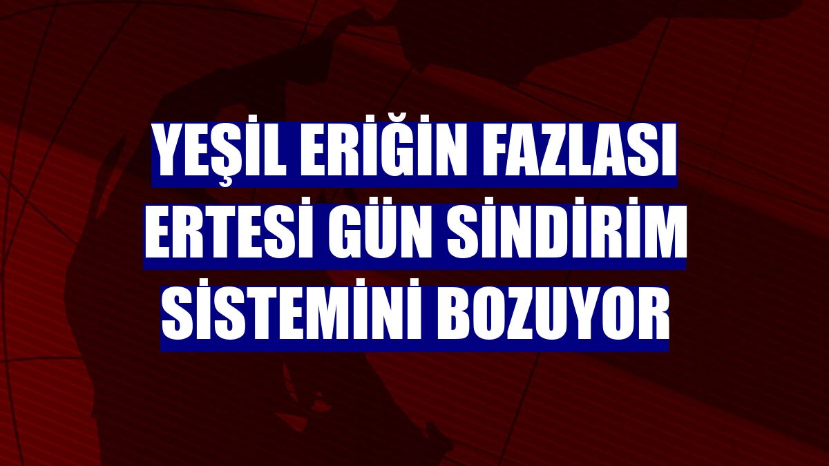 Yeşil eriğin fazlası ertesi gün sindirim sistemini bozuyor
