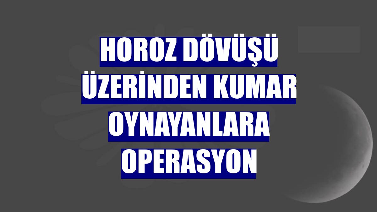 Horoz dövüşü üzerinden kumar oynayanlara operasyon