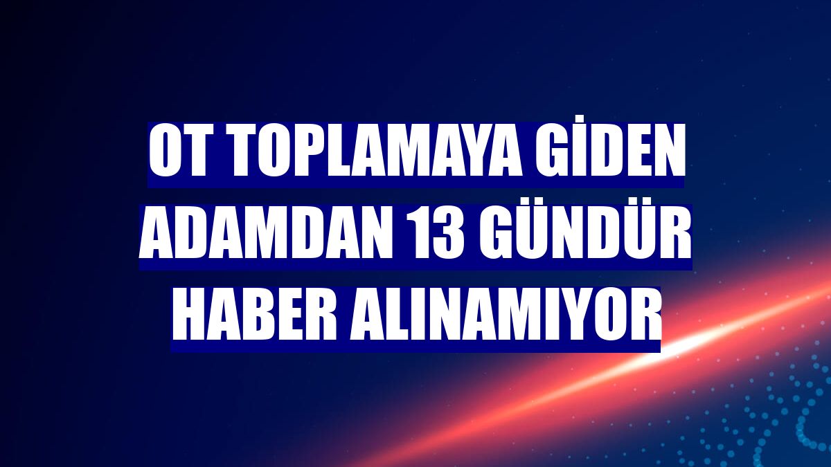 Ot toplamaya giden adamdan 13 gündür haber alınamıyor