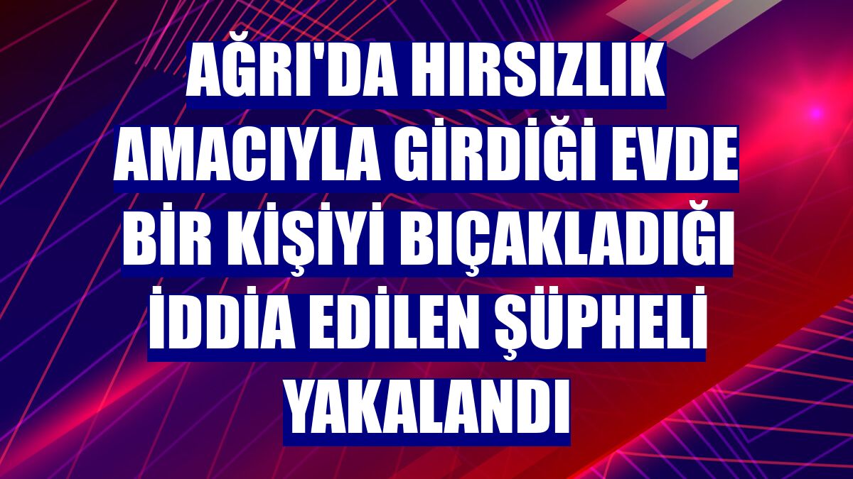 Ağrı'da hırsızlık amacıyla girdiği evde bir kişiyi bıçakladığı iddia edilen şüpheli yakalandı