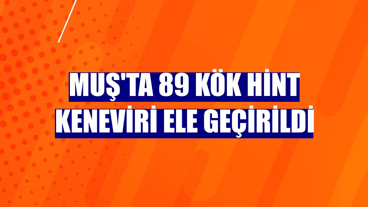 Muş'ta 89 kök Hint keneviri ele geçirildi
