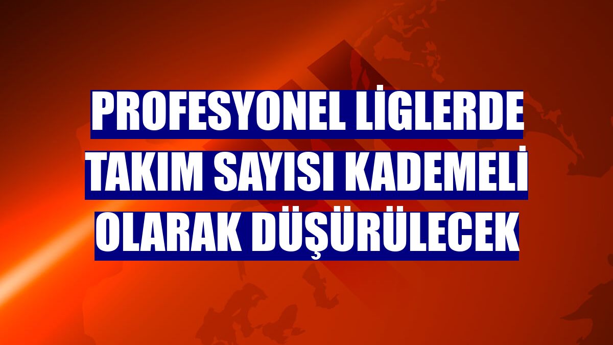 Profesyonel liglerde takım sayısı kademeli olarak düşürülecek