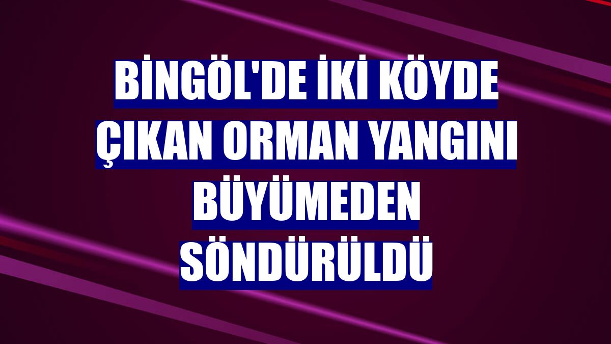 Bingöl'de iki köyde çıkan orman yangını büyümeden söndürüldü