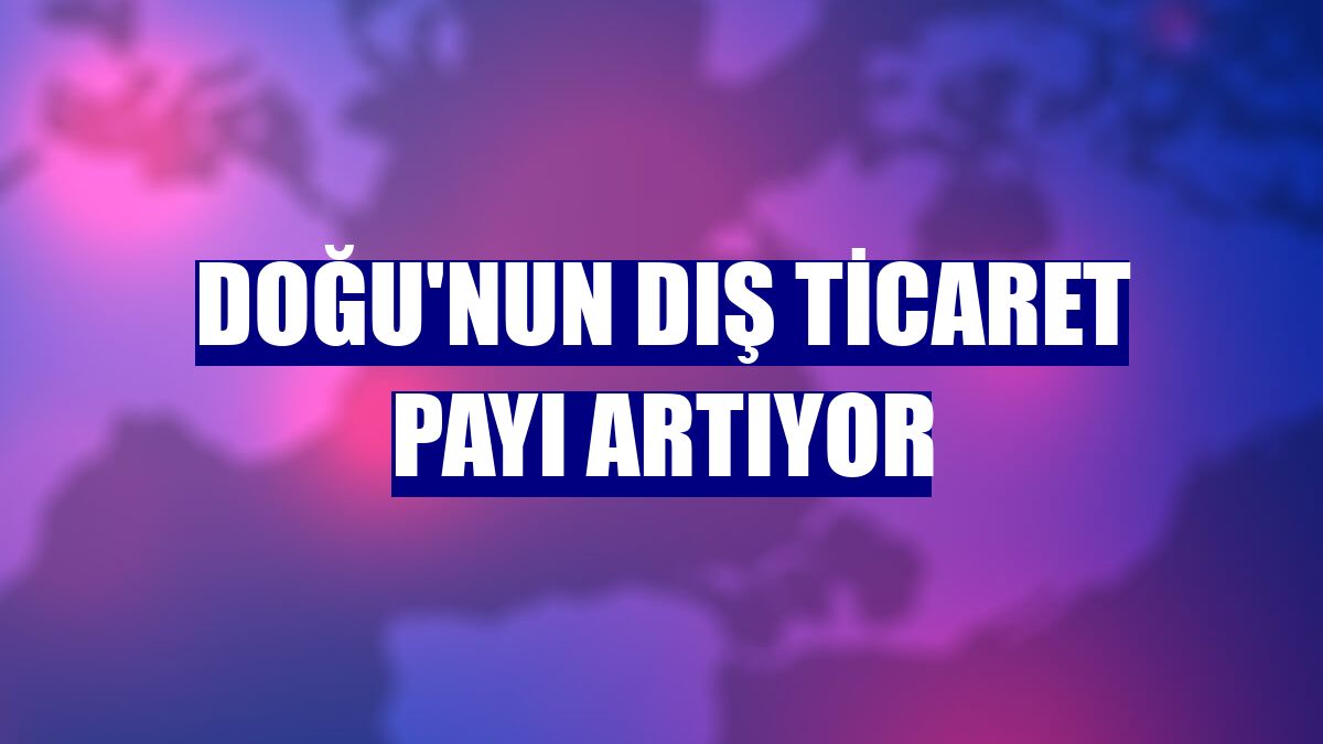 Doğu'nun dış ticaret payı artıyor