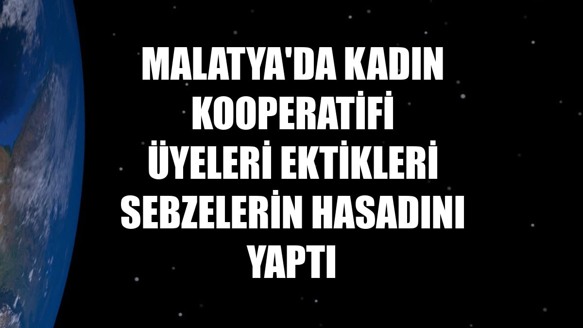 Malatya'da kadın kooperatifi üyeleri ektikleri sebzelerin hasadını yaptı