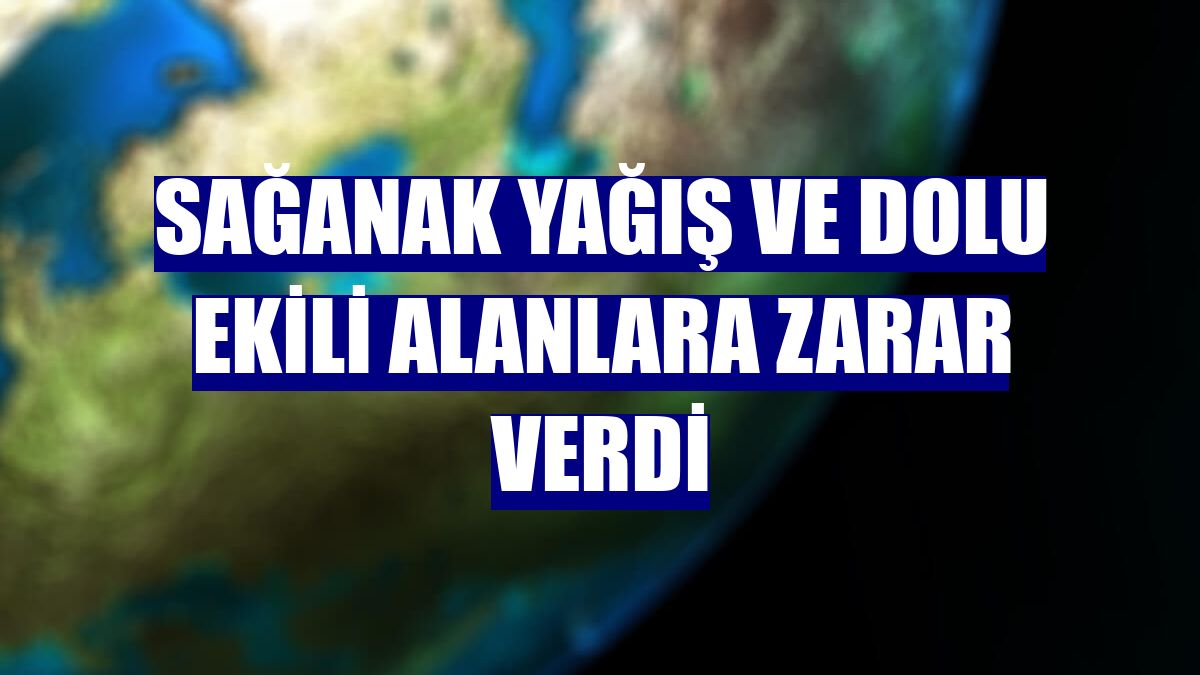 Sağanak yağış ve dolu ekili alanlara zarar verdi