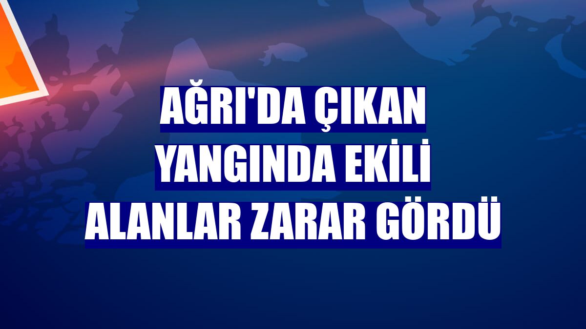Ağrı'da çıkan yangında ekili alanlar zarar gördü