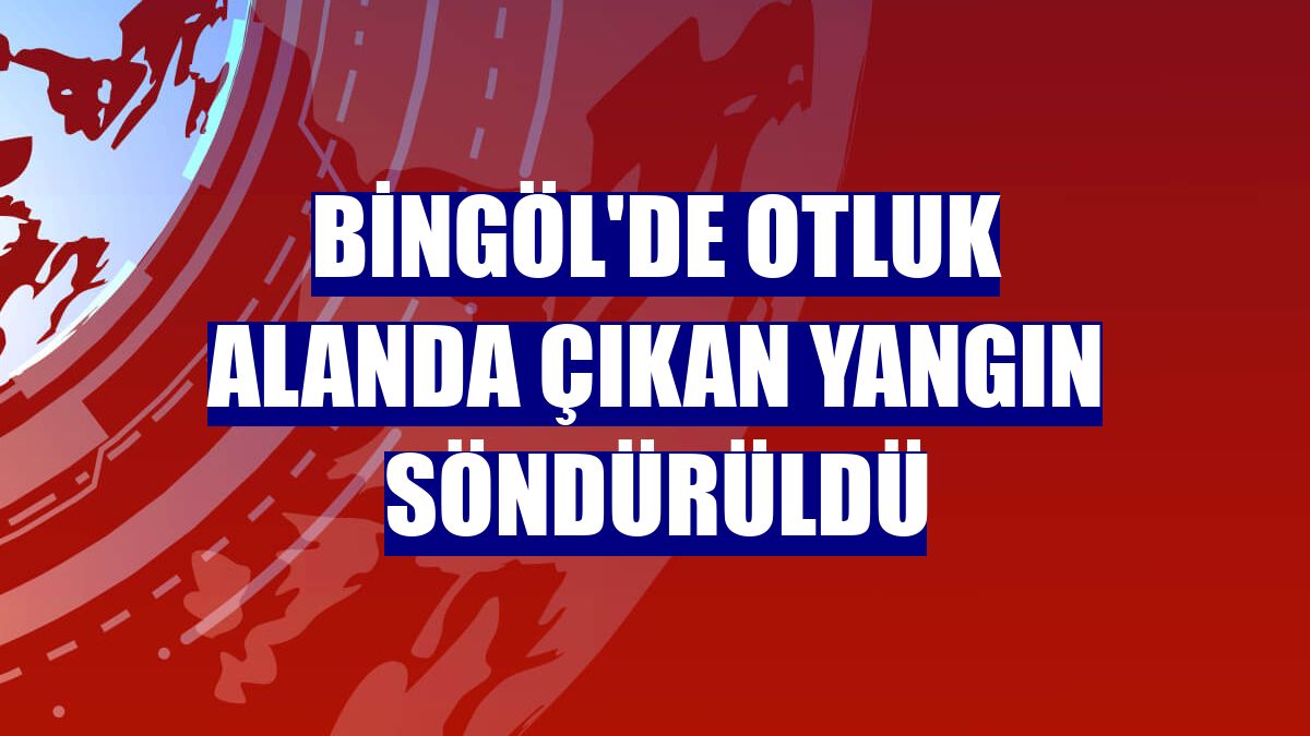 Bingöl'de otluk alanda çıkan yangın söndürüldü