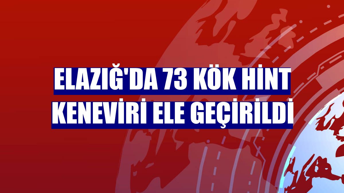 Elazığ'da 73 kök Hint keneviri ele geçirildi