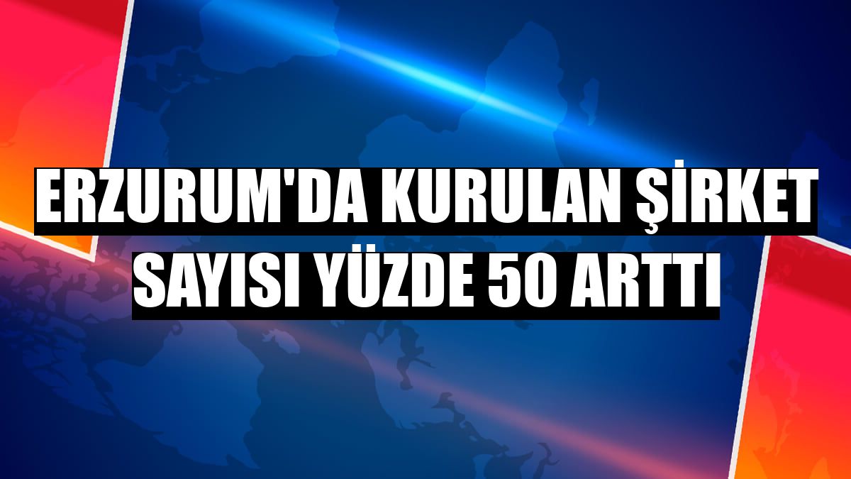 Erzurum'da kurulan şirket sayısı yüzde 50 arttı