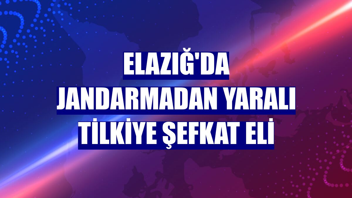 Elazığ'da jandarmadan yaralı tilkiye şefkat eli