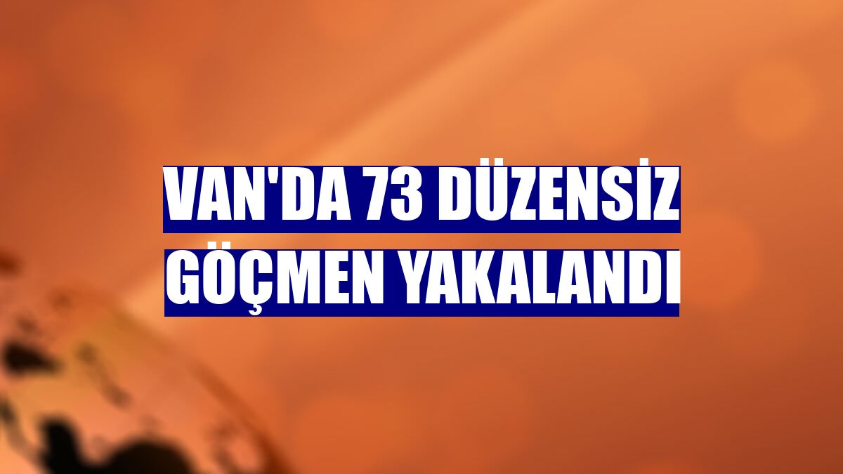 Van'da 73 düzensiz göçmen yakalandı