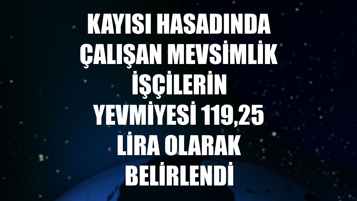 Kayısı hasadında çalışan mevsimlik işçilerin yevmiyesi 119,25 lira olarak belirlendi