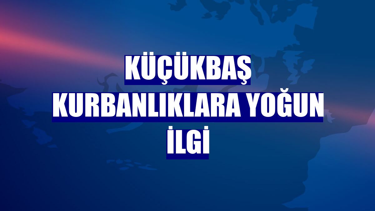 Küçükbaş kurbanlıklara yoğun ilgi