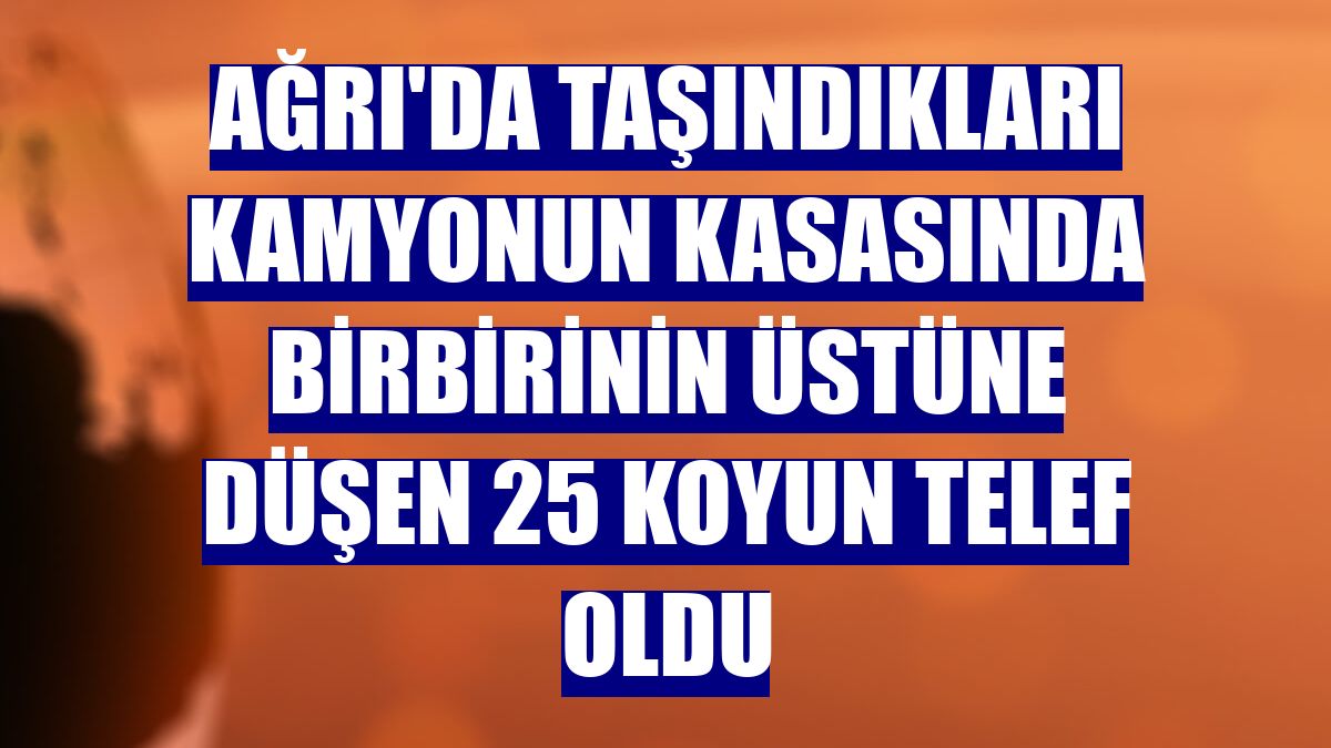Ağrı'da taşındıkları kamyonun kasasında birbirinin üstüne düşen 25 koyun telef oldu