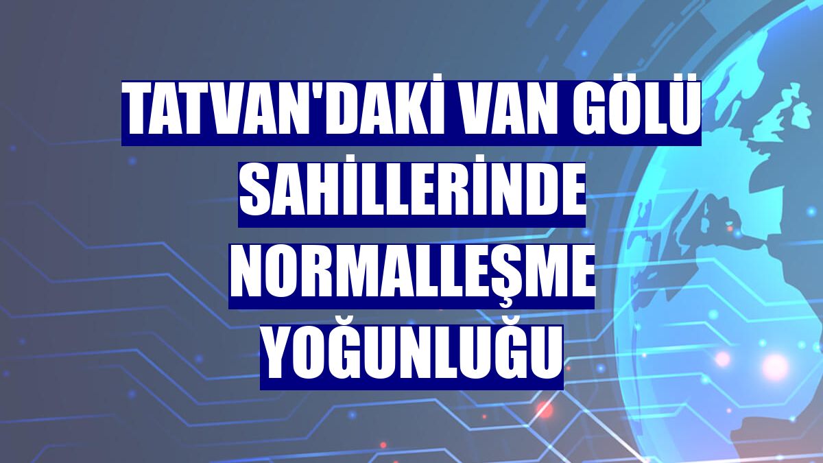 Tatvan'daki Van Gölü sahillerinde normalleşme yoğunluğu