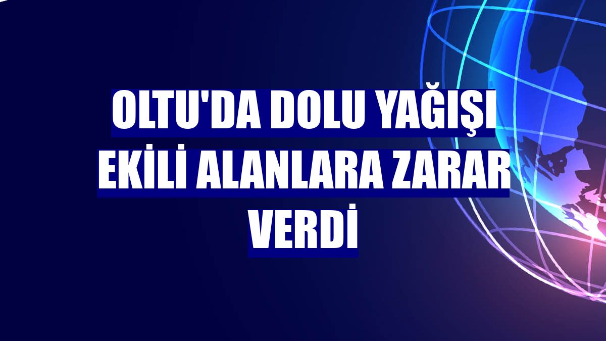Oltu'da dolu yağışı ekili alanlara zarar verdi