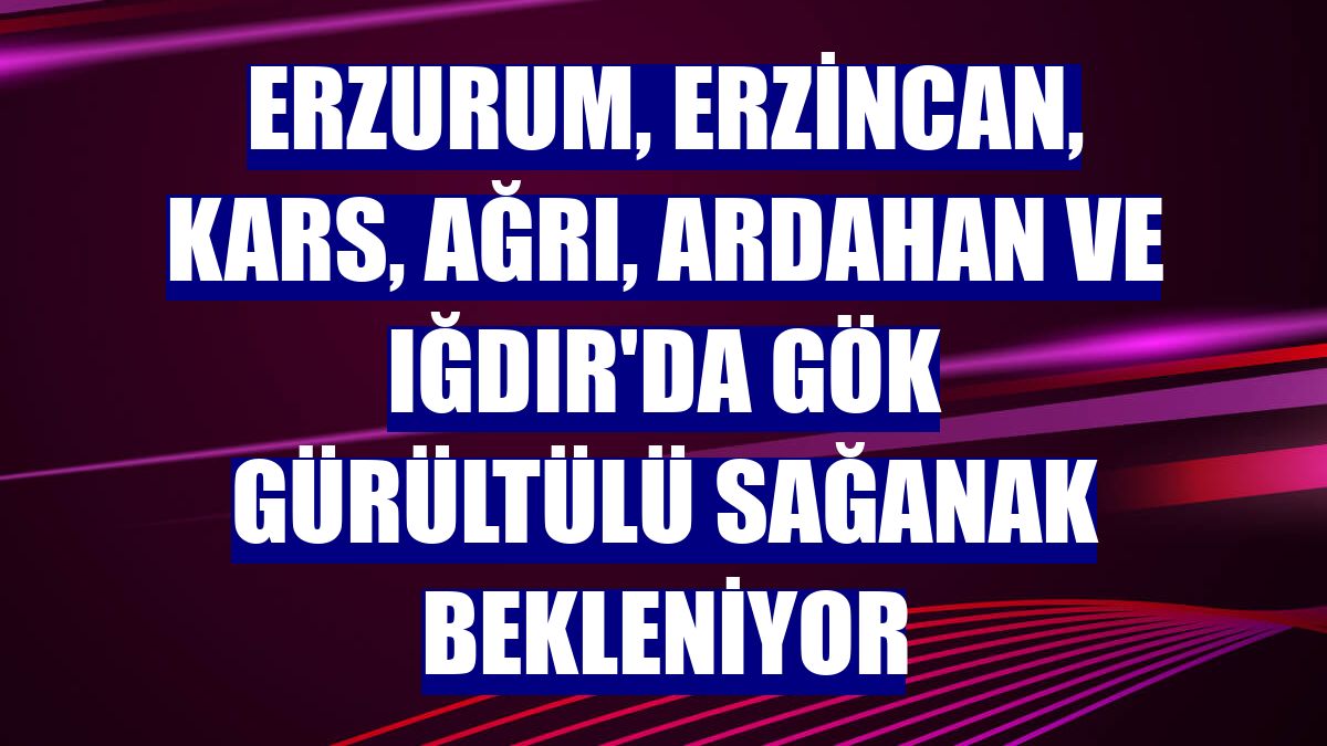 Erzurum, Erzincan, Kars, Ağrı, Ardahan ve Iğdır'da gök gürültülü sağanak bekleniyor