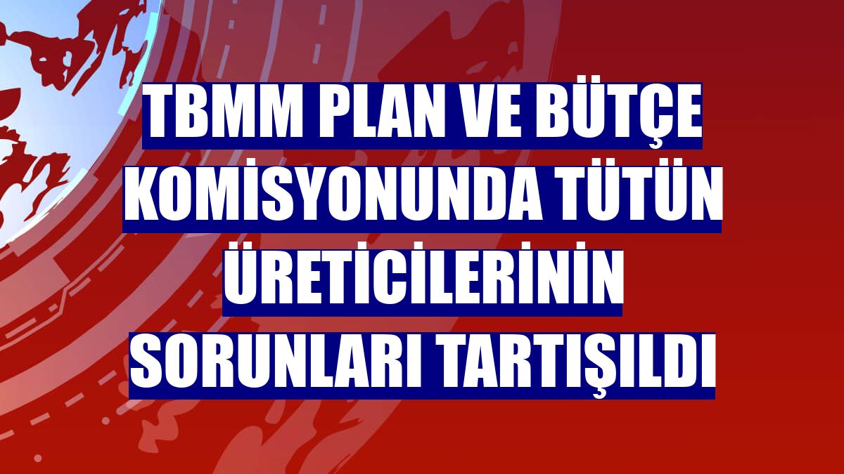 TBMM Plan ve Bütçe Komisyonunda tütün üreticilerinin sorunları tartışıldı