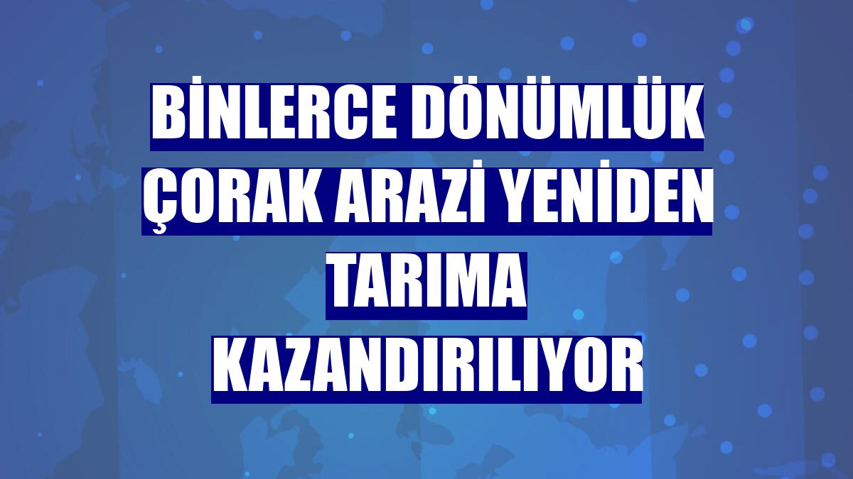 Binlerce dönümlük çorak arazi yeniden tarıma kazandırılıyor