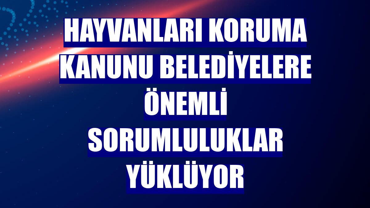 Hayvanları Koruma Kanunu belediyelere önemli sorumluluklar yüklüyor
