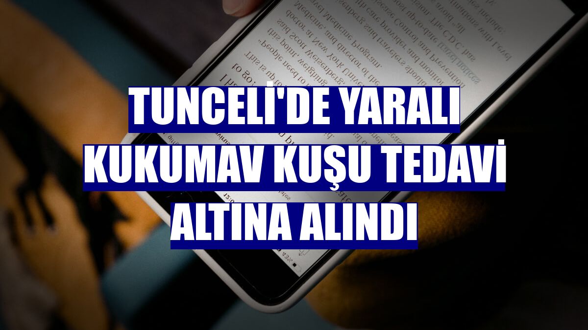Tunceli'de yaralı kukumav kuşu tedavi altına alındı