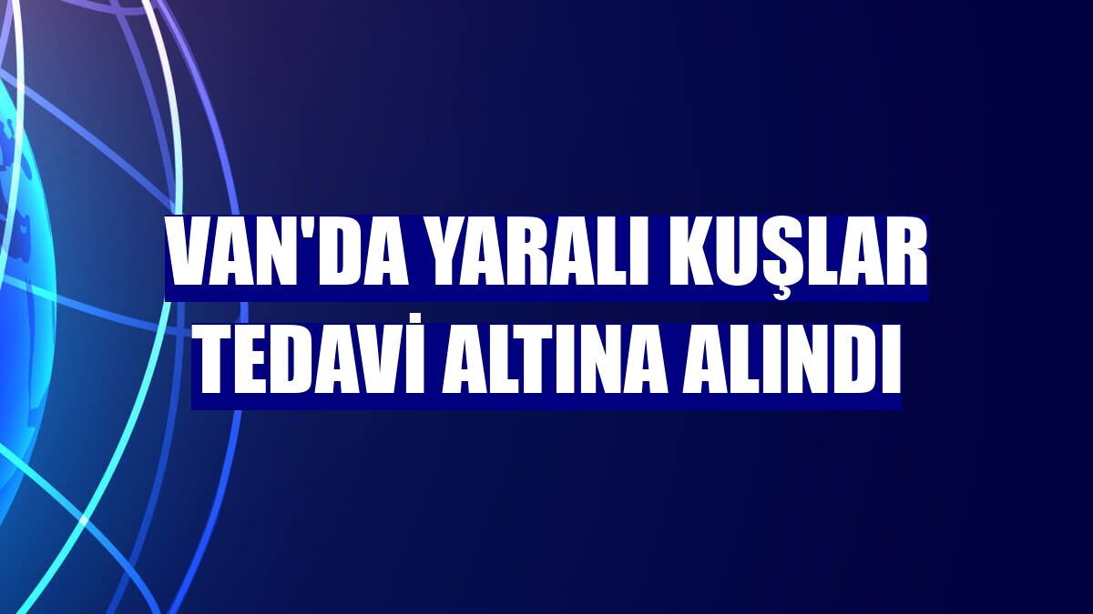 Van'da yaralı kuşlar tedavi altına alındı